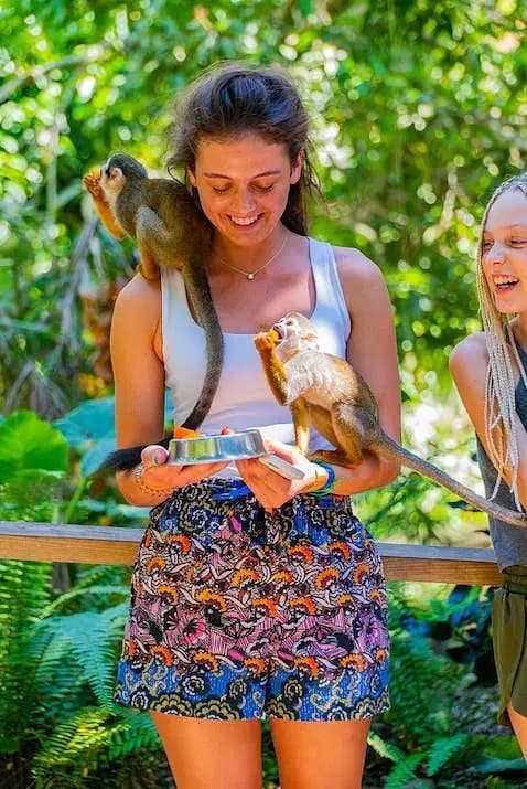 Monkeyland Park