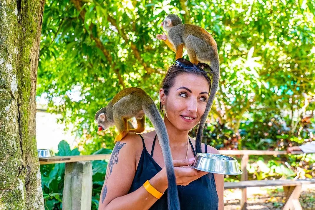 Monkeyland Park