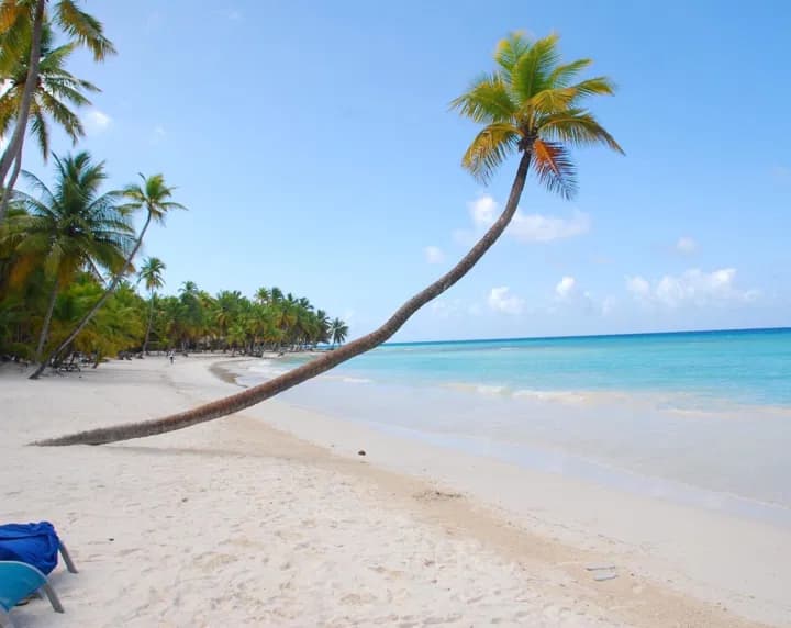 Saona Island Discovery