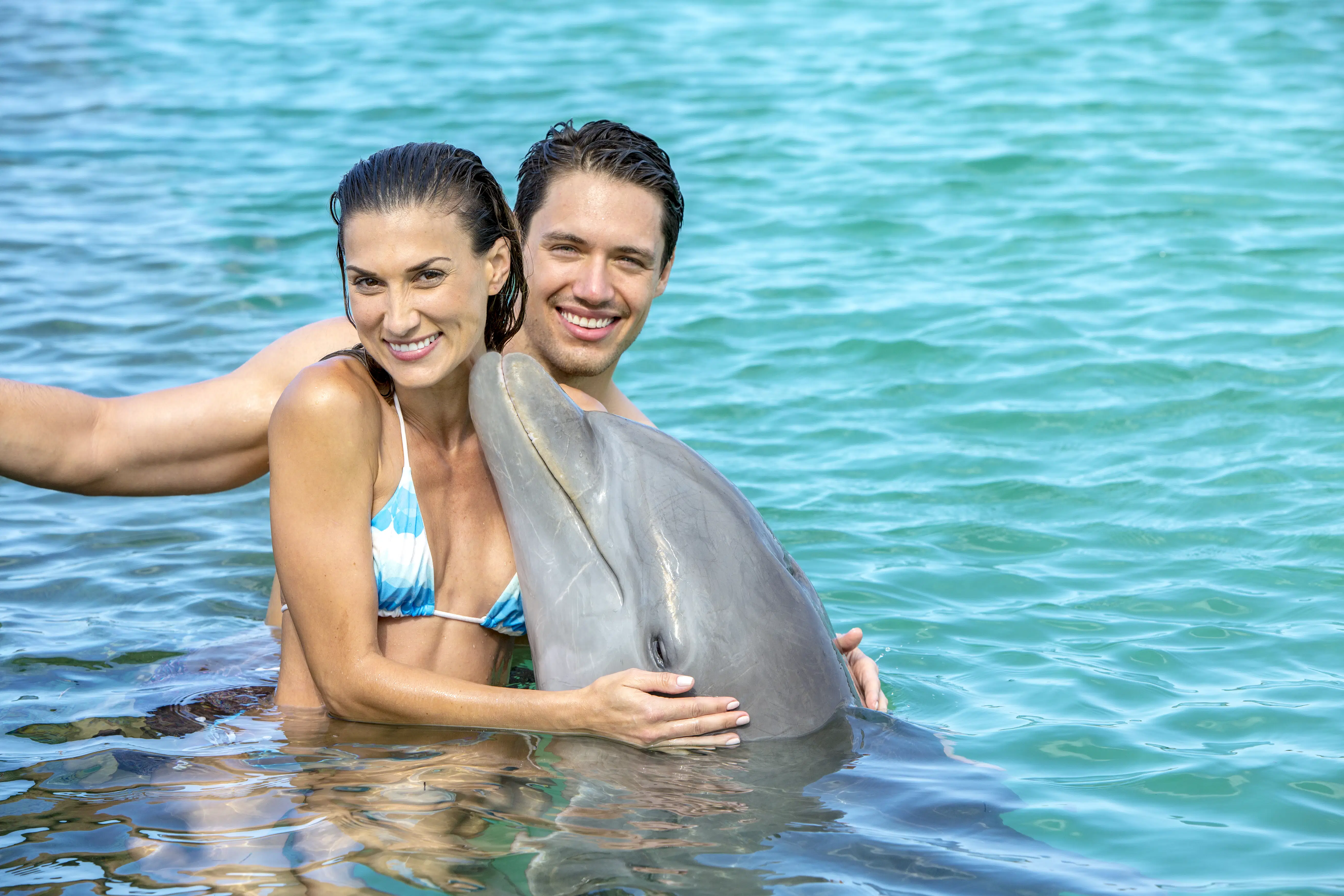 Swim with Dolphins