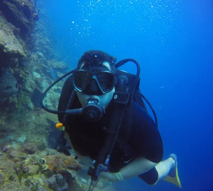 Catalina Island Diving Tour