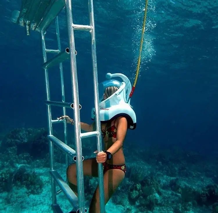 SeaQuarium Punta Cana