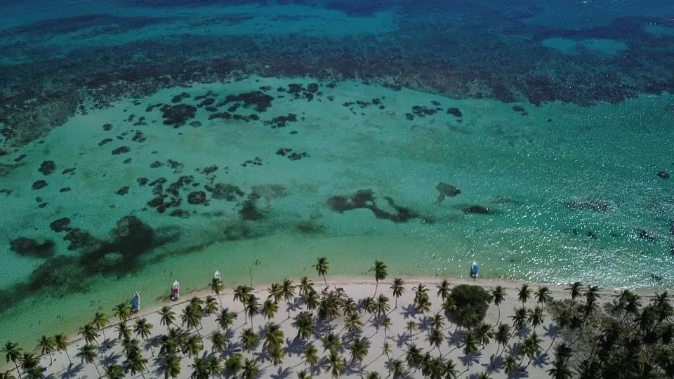 Best Time to Visit Punta Cana: Month-by-Month Weather & Prices