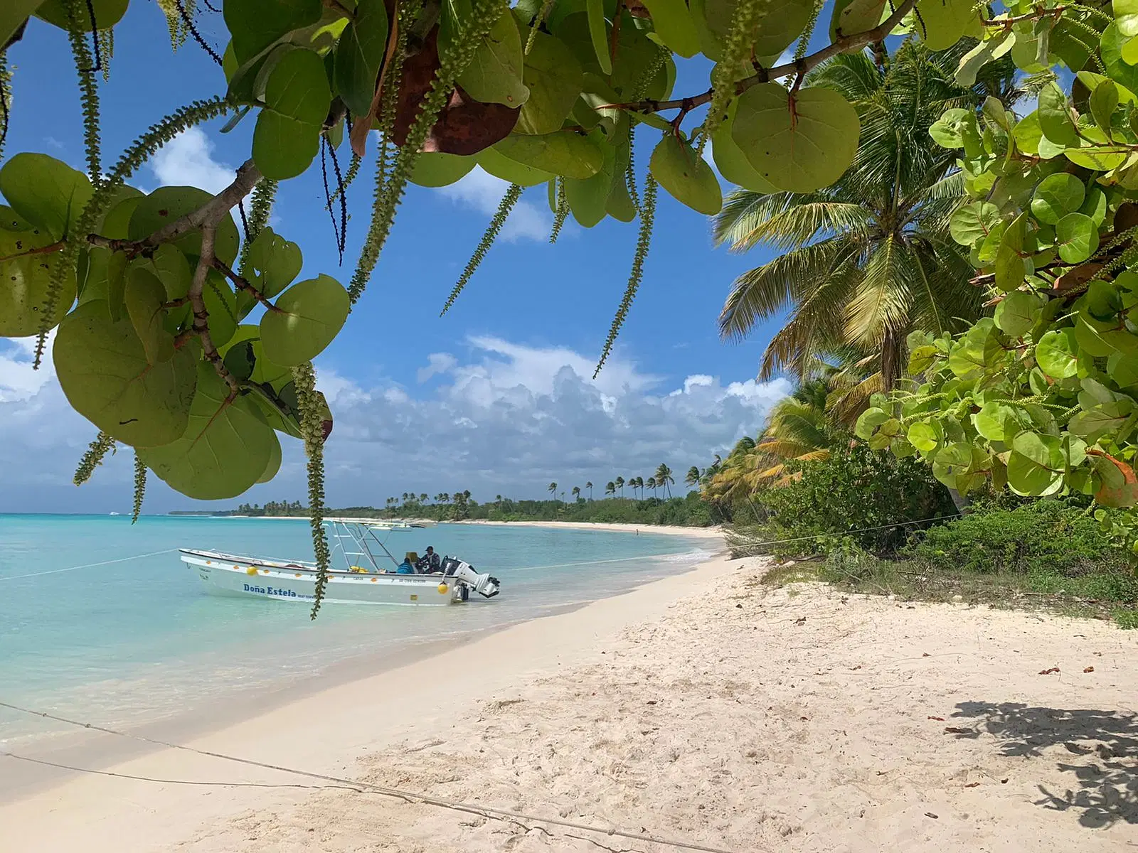 Saona Island Vip (3 Beach)