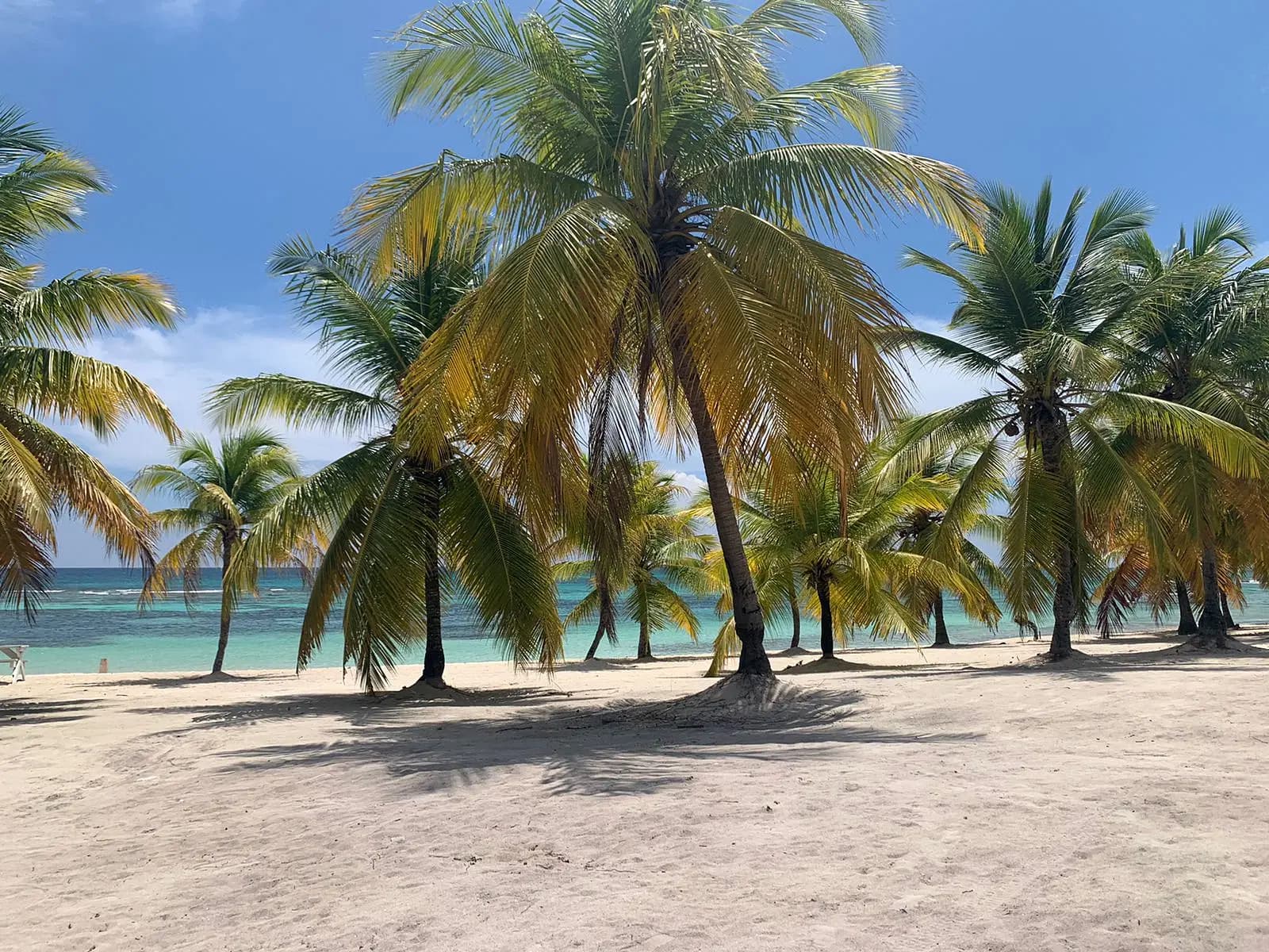 Saona Island Vip (3 Beach)