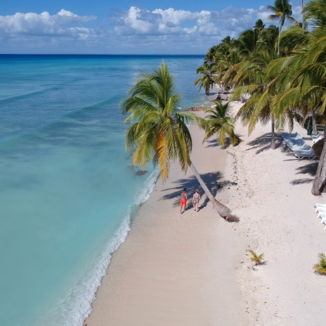 Isla Saona offers the best tours with transfers for an unforgettable Punta Cana trip, featuring a picturesque beach with palm trees and a blue sky.