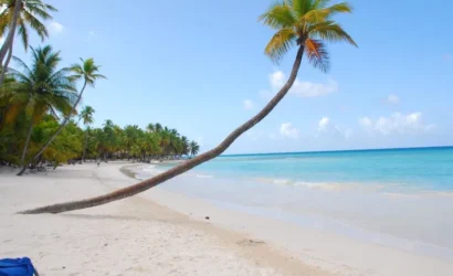 Tropical beach scene at Saona Island, featuring a leaning palm tree, soft white sand, and turquoise waters, ideal for Punta Cana vacation experiences.