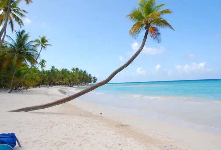 A white sandy beach with clear blue water and a bright sky sets the scene for your Punta Cana trip. A tall palm tree leans over the shoreline, more palms in the background, and a hint of blue towel or chair completes this tropical escape.