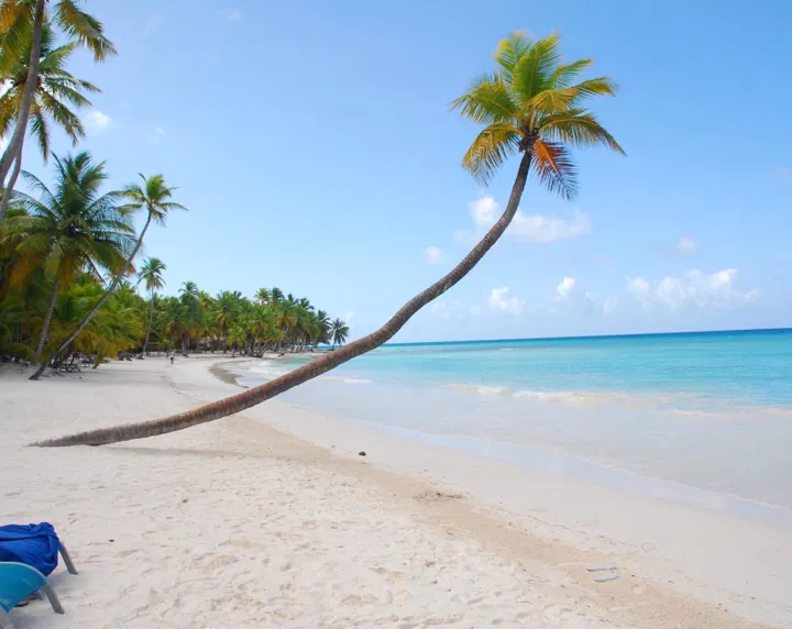 A white sandy beach with clear blue water and a bright sky sets the scene for your Punta Cana trip. A tall palm tree leans over the shoreline, more palms in the background, and a hint of blue towel or chair completes this tropical escape.