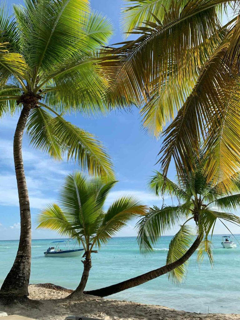 Two tall palm trees and a smaller palm grow on a sandy beach, their green fronds arching over turquoise ocean water. In the background, two boats float on the calm sea under a sunny, blue sky with a few clouds.